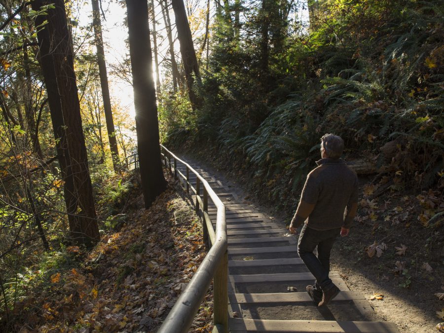 The sun is illuminating the steps and the man in the forest
